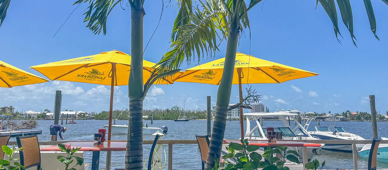 Falconry for Bird Abatement in Florida