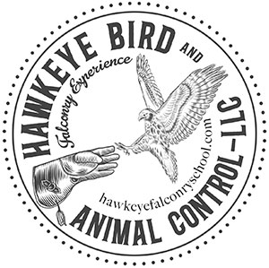 Hawkeye Bird and Animal Control LLC